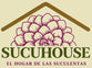 Sucuhouse - Inicio
